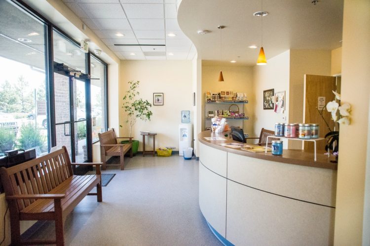Our lobby allows for some separation of patients to minimize stress.