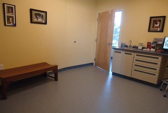 Dog examination area with external door to hospital for easy access.