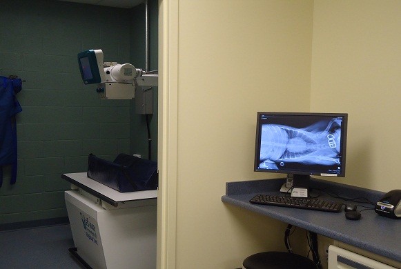 X-ray area within our veterinary clinic.