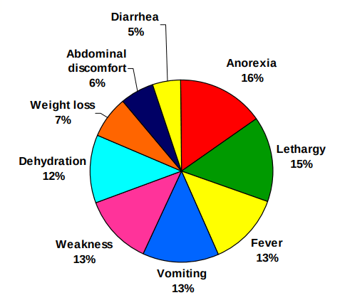 clinical signs of lepto pie chart